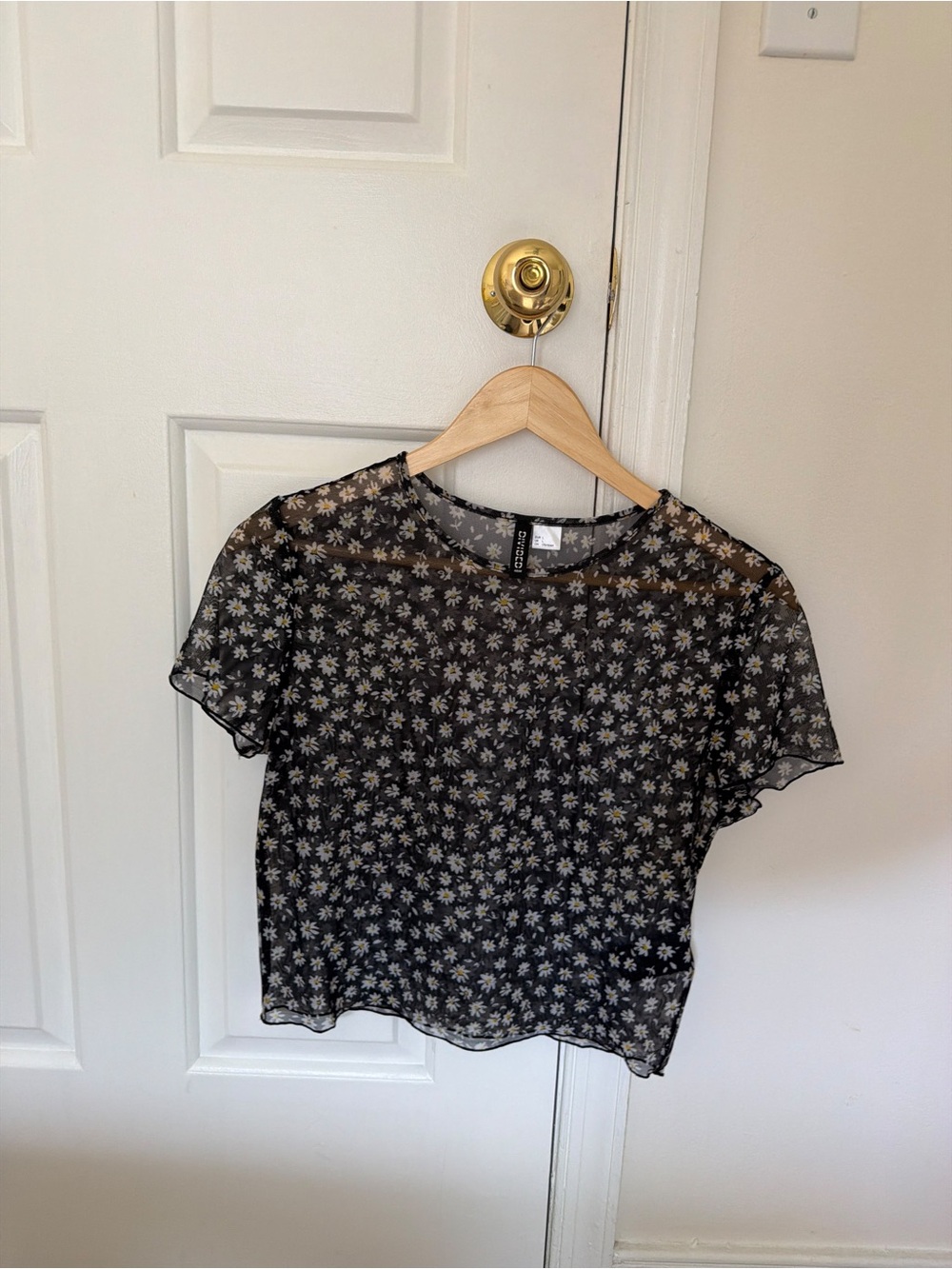 Divided Black Sheer Mesh Top with White Daisy Print